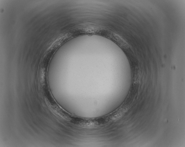 X0000080710646200701051010