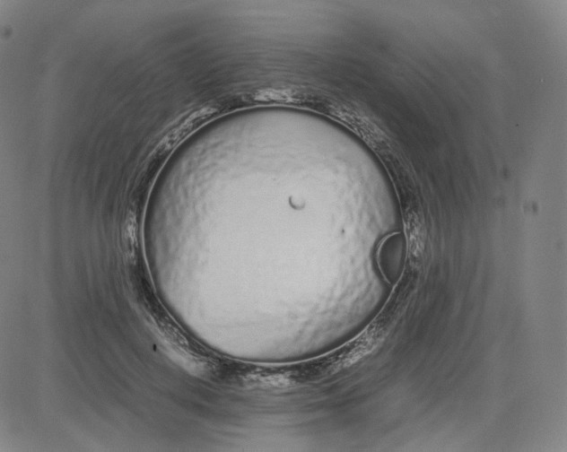 X0000080710648200701051010