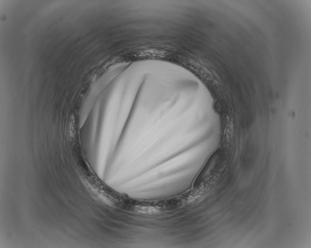 X0000080710649200701051010