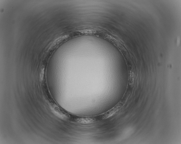 X0000080710652200701051010