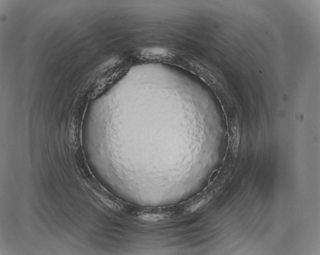 X0000080710653200701051010