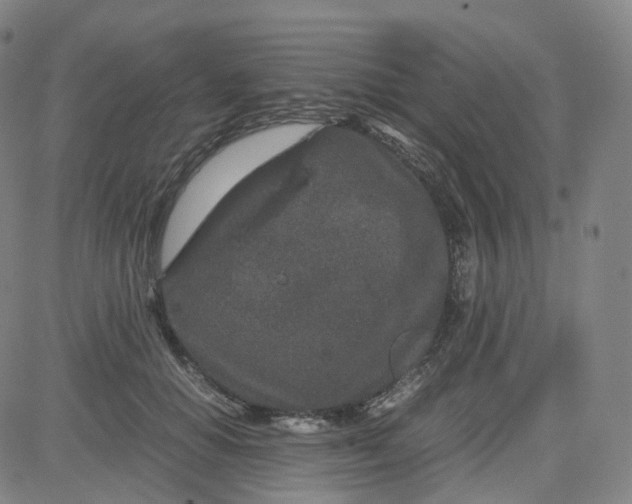 X0000080710654200701051010