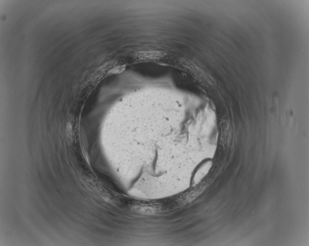 X0000080710655200701051010