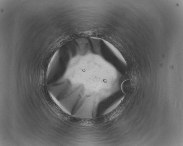 X0000080710656200701051010