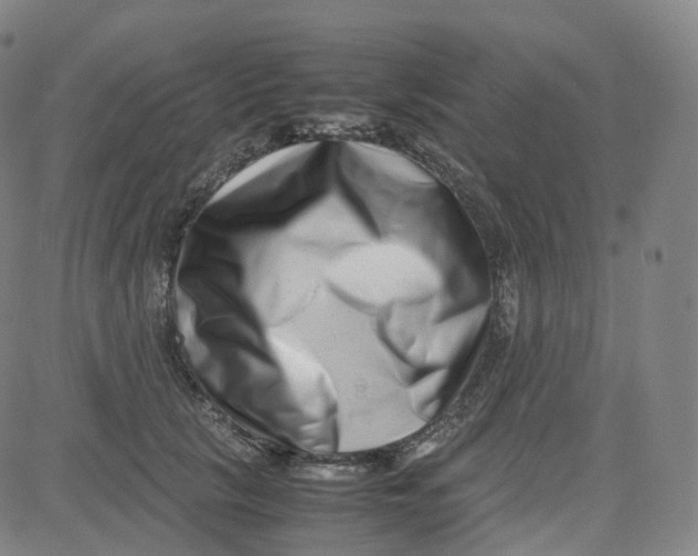 X0000080710657200701051010