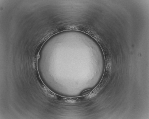 X0000080710658200701051011