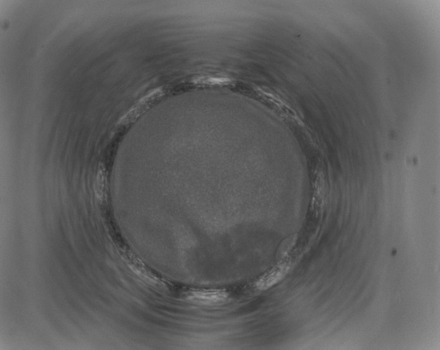 X0000080710659200701051011