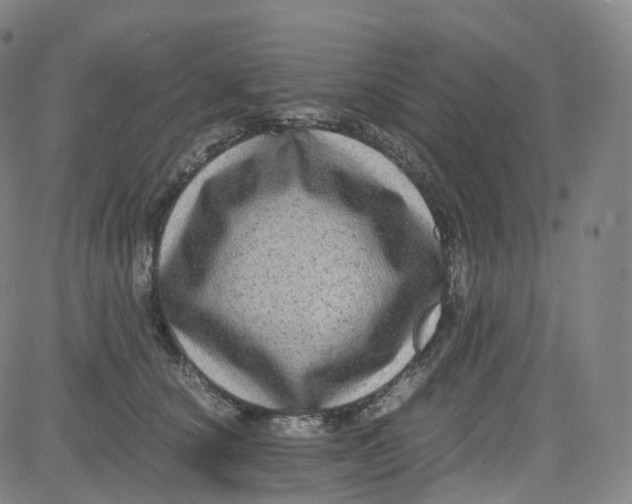 X0000080710660200701051011