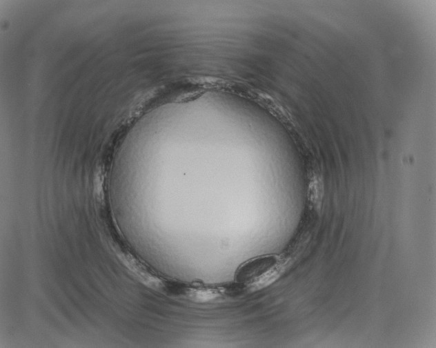 X0000080710662200701051011