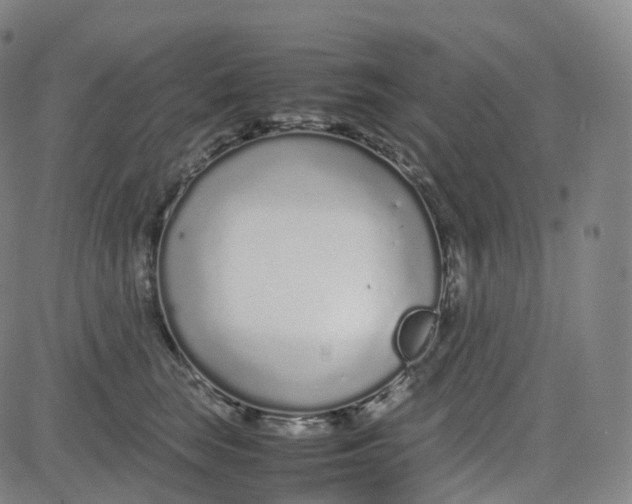 X0000080710663200701051011