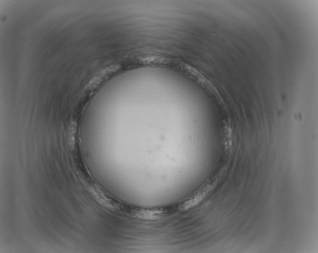 X0000080710664200701051011