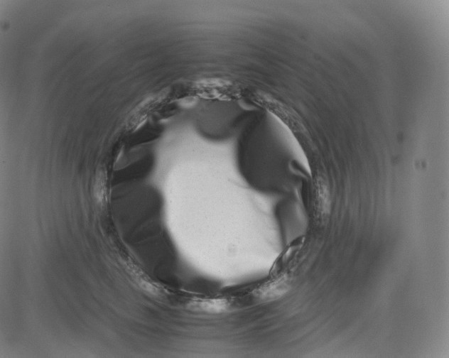 X0000080710665200701051011