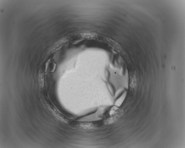 X0000080710666200701051011