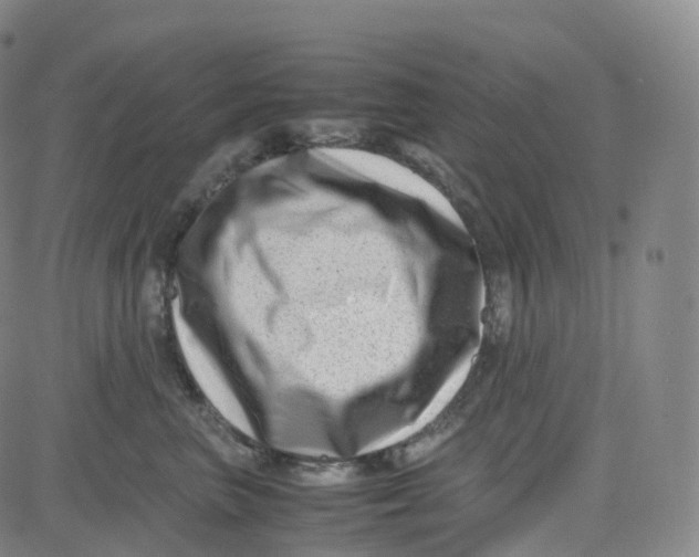 X0000080710667200701051011