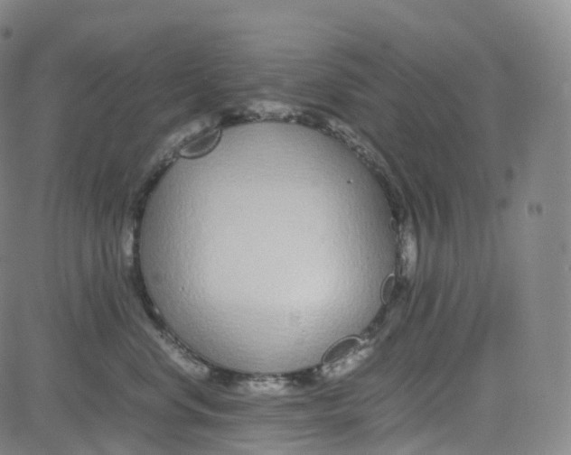 X0000080710668200701051011