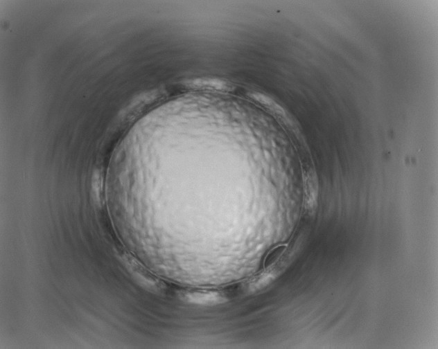 X0000080710669200701051011