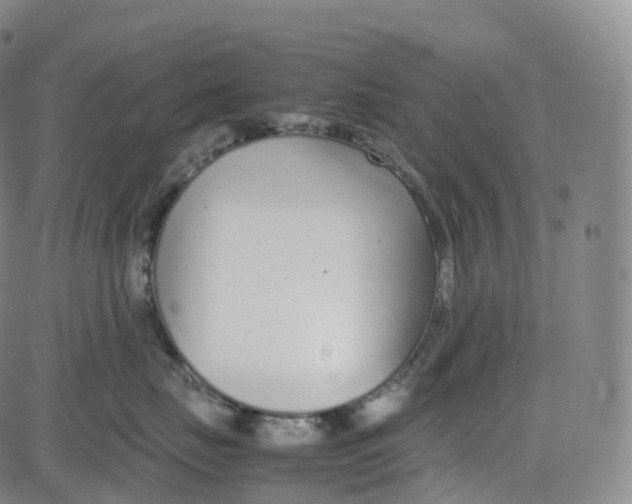 X0000080710671200701051011