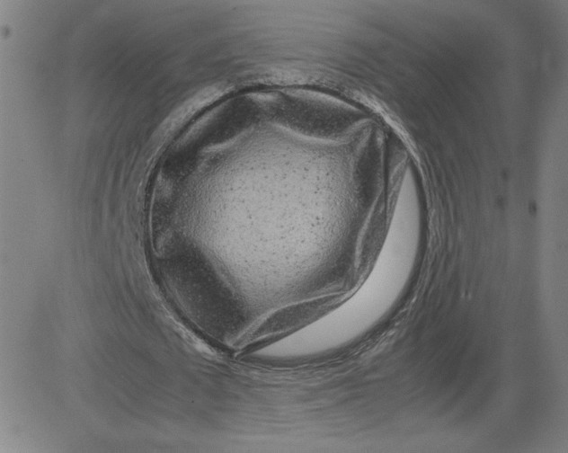 X0000080710673200701051010