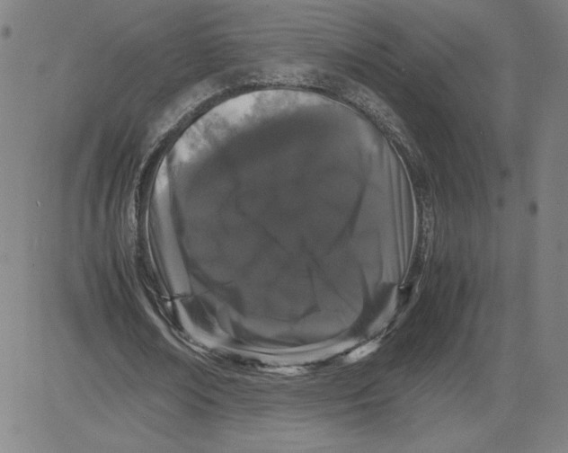 X0000080710674200701051010