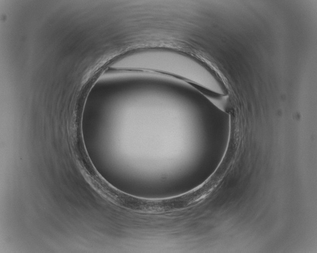 X0000080710677200701051010