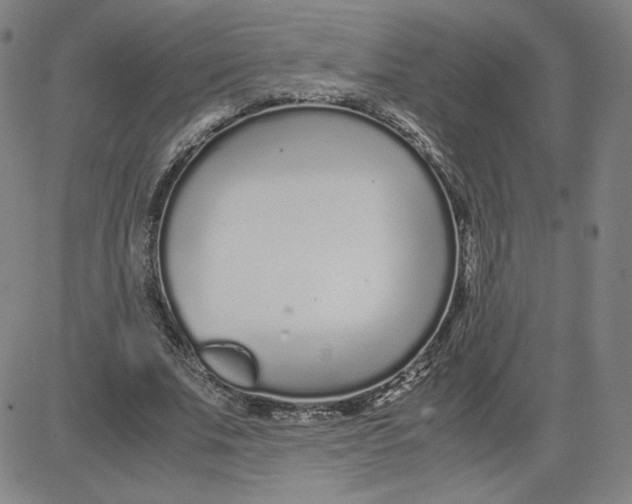 X0000080710679200701051010