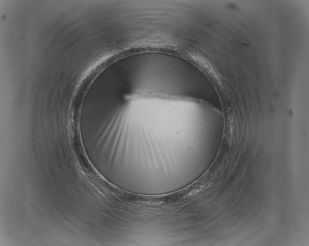 X0000080710680200701051010