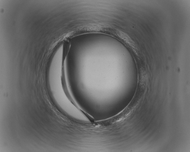 X0000080710681200701051010