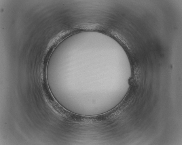 X0000080710682200701051010