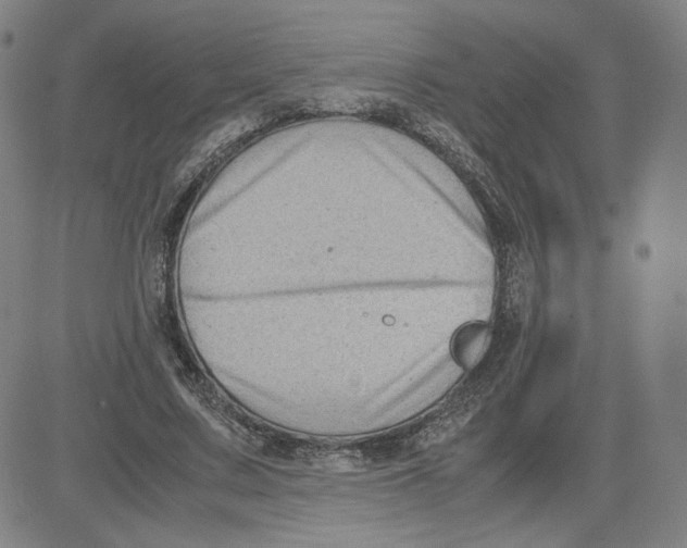 X0000080710683200701051010