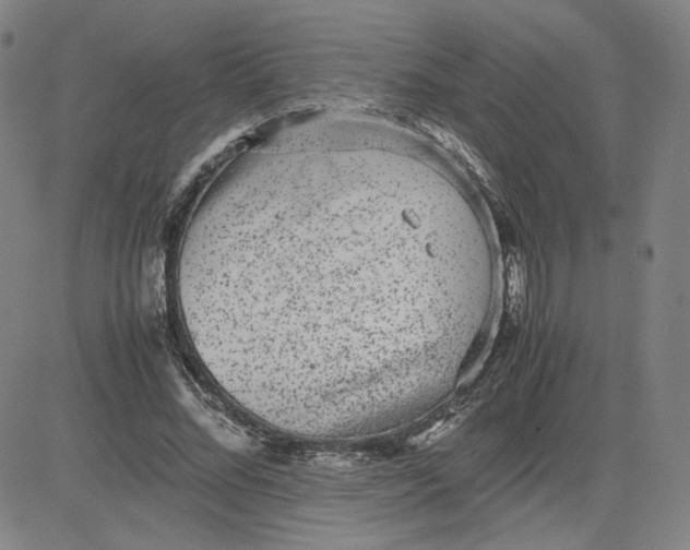 X0000080710684200701051010