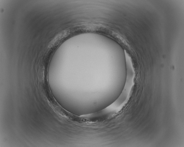 X0000080710685200701051010