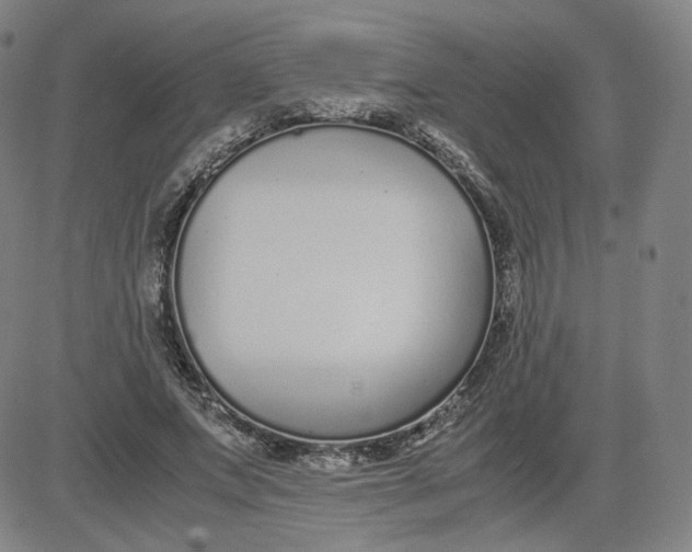 X0000080710687200701051010