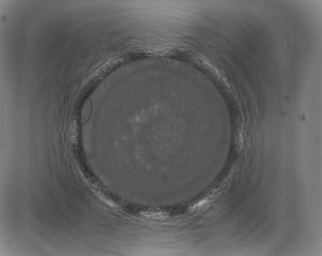 X0000080710689200701051010