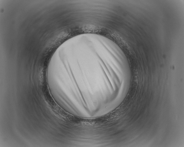 X0000080710690200701051010