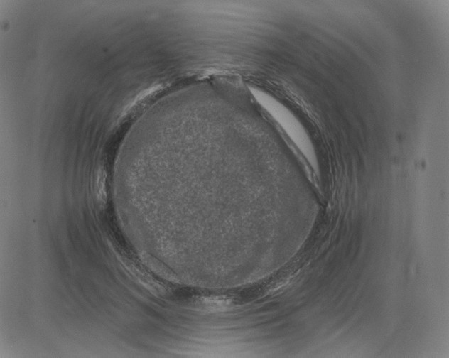 X0000080710692200701051010