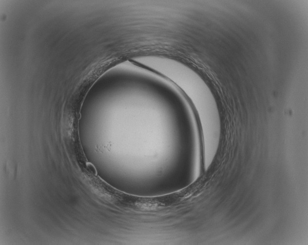 X0000080710693200701051010