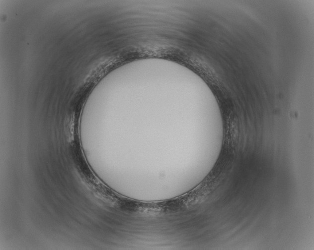 X0000080710694200701051010