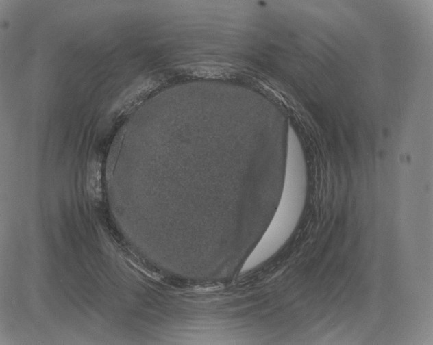 X0000080710696200701051010