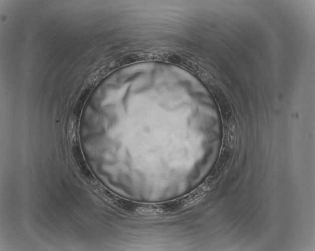 X0000080710699200701051010