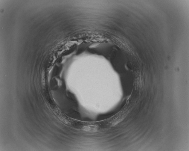 X0000080710700200701051010