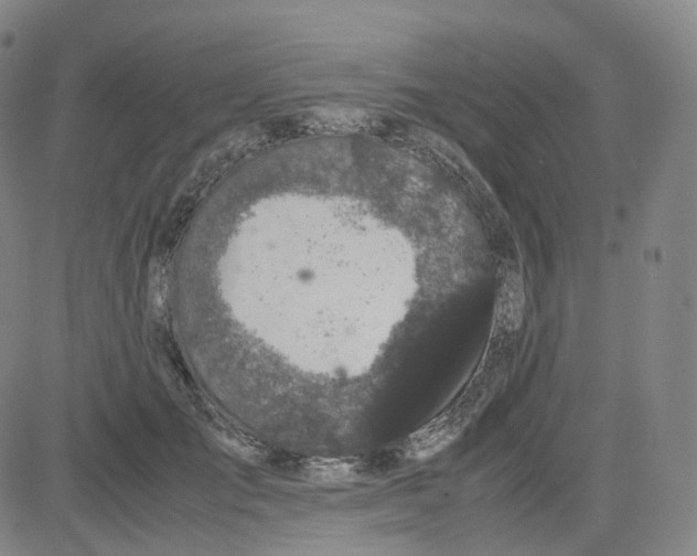 X0000080710701200701051010