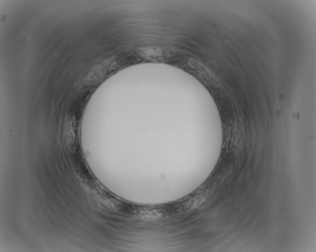 X0000080710702200701051009