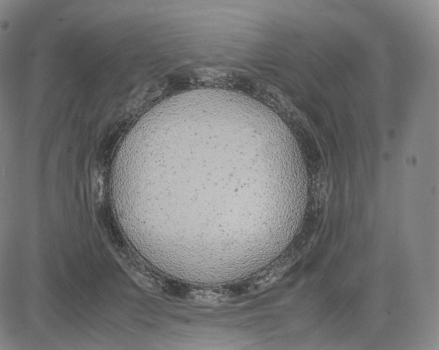 X0000080710703200701051009