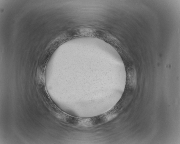 X0000080710705200701051009