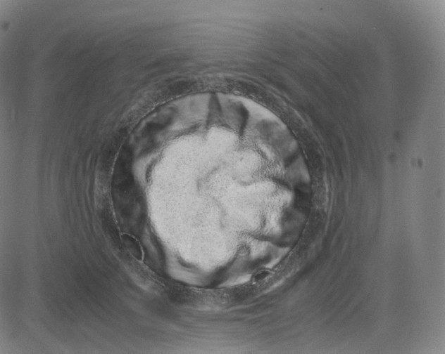 X0000080710707200701051009