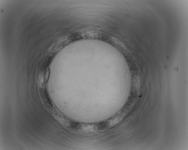 X0000080710709200701051009