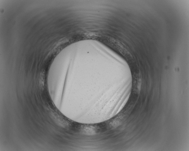 X0000080710710200701051009