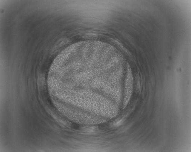 X0000080710711200701051009