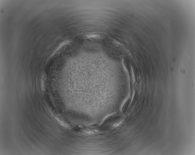 X0000080710712200701051009