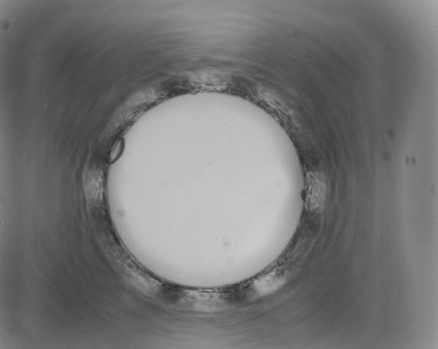 X0000080710713200701051009